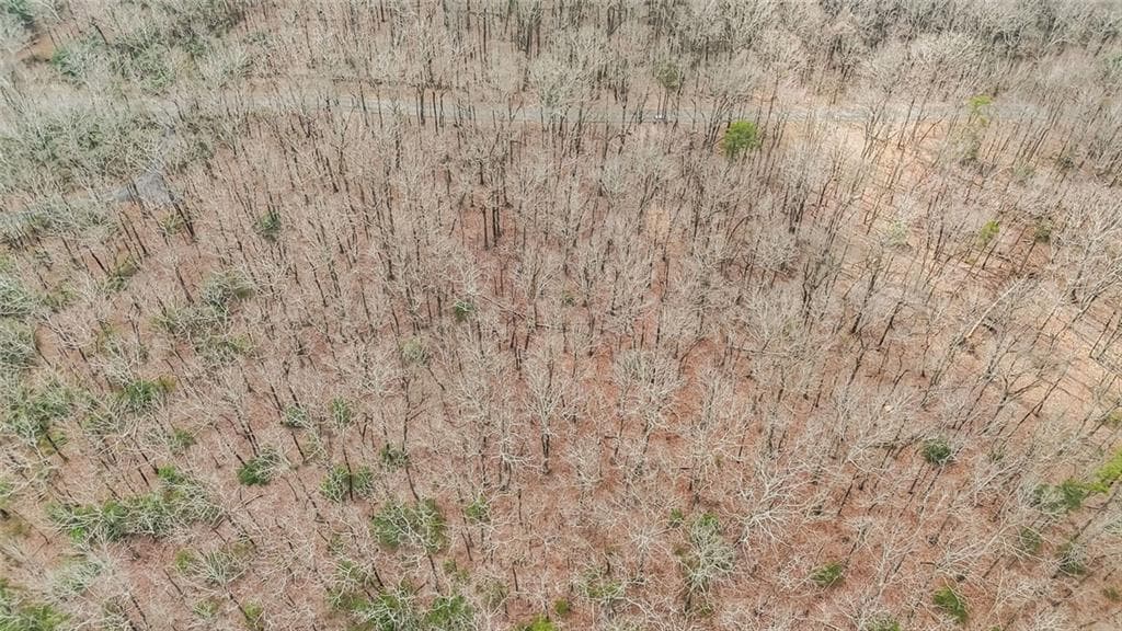 1 bedroom unimproved land for sale at 21 Andes Ridge, Jasper, GA 30143 — photo 5