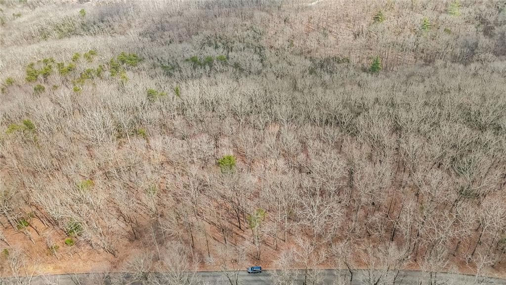 1 bedroom unimproved land for sale at 21 Andes Ridge, Jasper, GA 30143 — photo 7