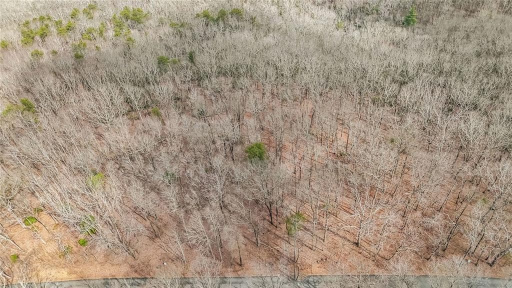 1 bedroom unimproved land for sale at 21 Andes Ridge, Jasper, GA 30143 — photo 8