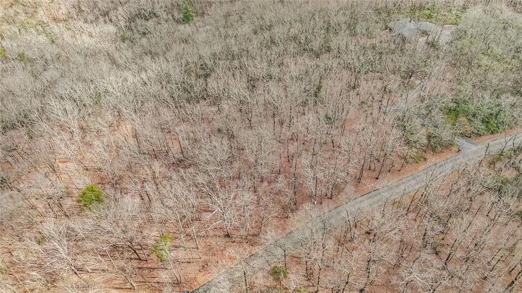 1 bedroom unimproved land for sale at 21 Andes Ridge, Jasper, GA 30143 — photo 9