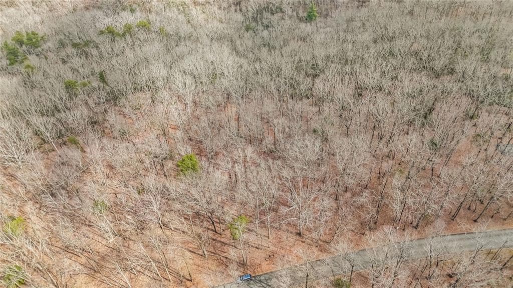 1 bedroom unimproved land for sale at 21 Andes Ridge, Jasper, GA 30143 — photo 10
