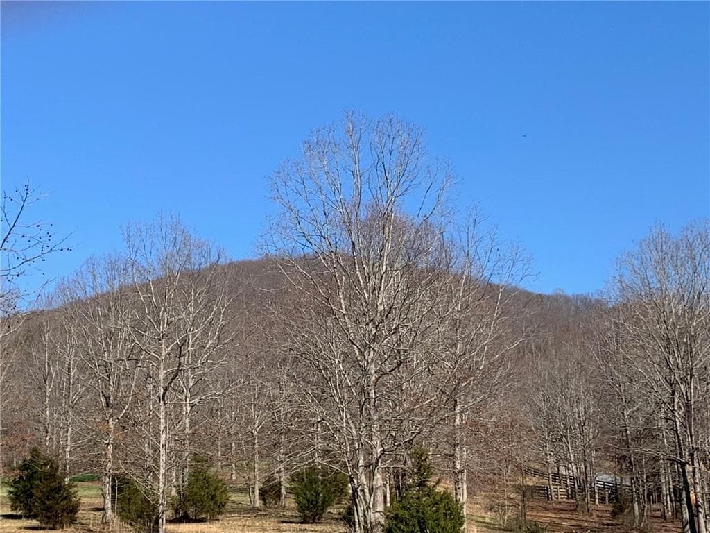 single family residence for sale at Lot 23 Long Mountain Trail, Cleveland, GA 30528 — photo 3