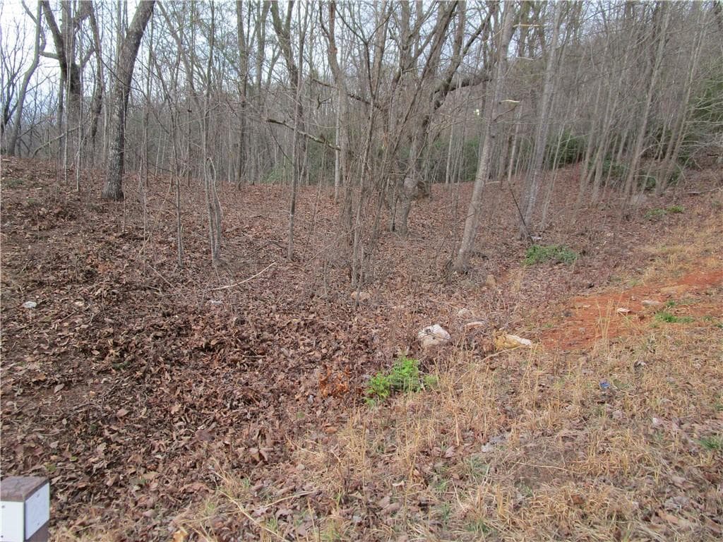 single family residence for sale at Lot 23 Long Mountain Trail, Cleveland, GA 30528 — photo 5