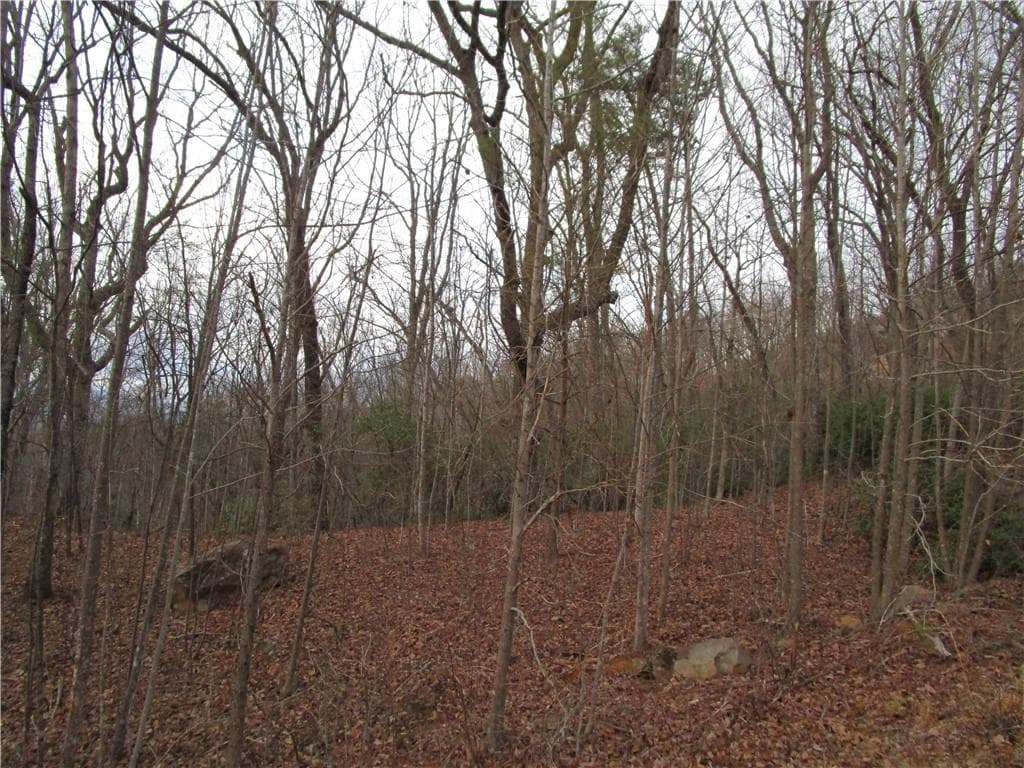 single family residence for sale at Lot 23 Long Mountain Trail, Cleveland, GA 30528 — photo 6