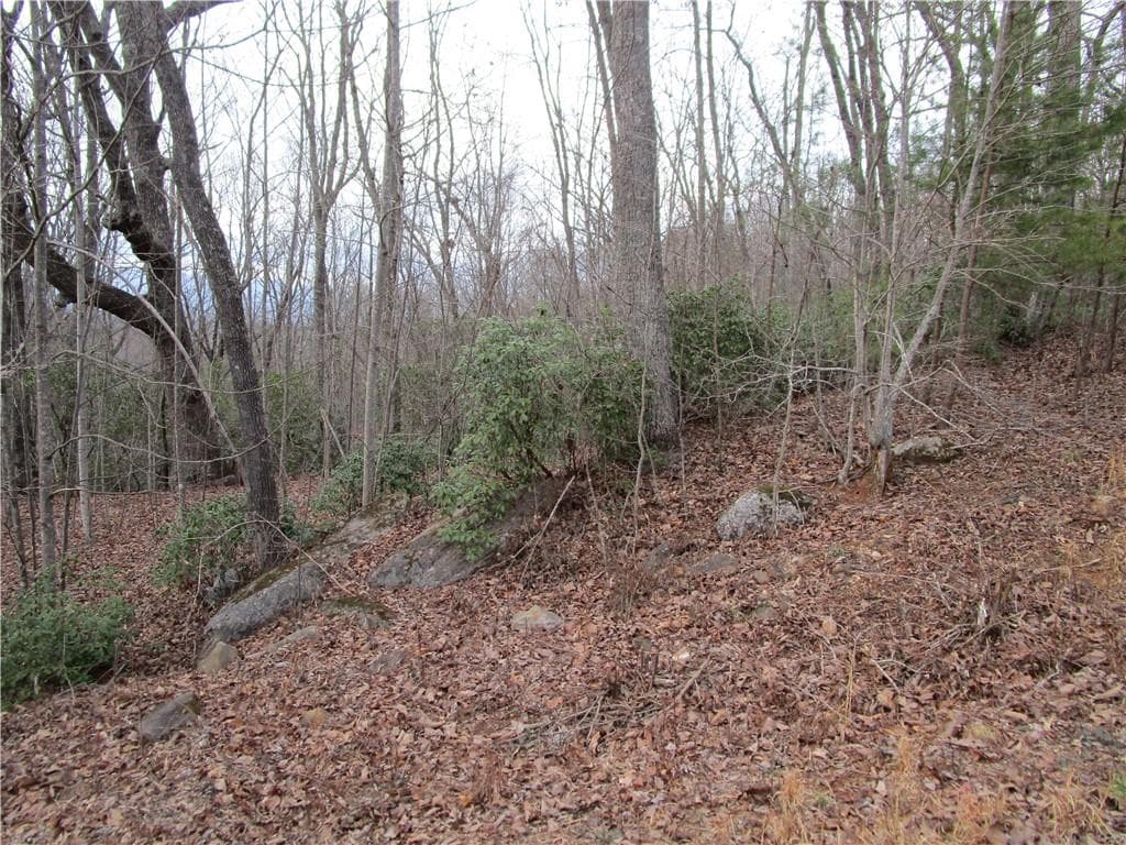 single family residence for sale at Lot 23 Long Mountain Trail, Cleveland, GA 30528 — photo 7