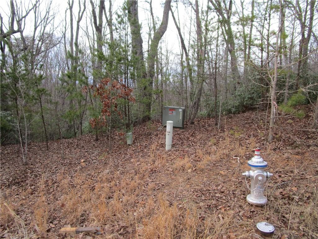 single family residence for sale at Lot 23 Long Mountain Trail, Cleveland, GA 30528 — photo 8