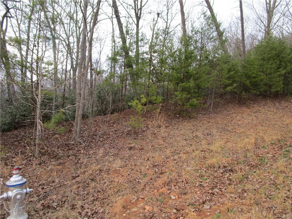 single family residence for sale at Lot 24 Long Mountain Trail, Cleveland, GA 30528 — photo 6