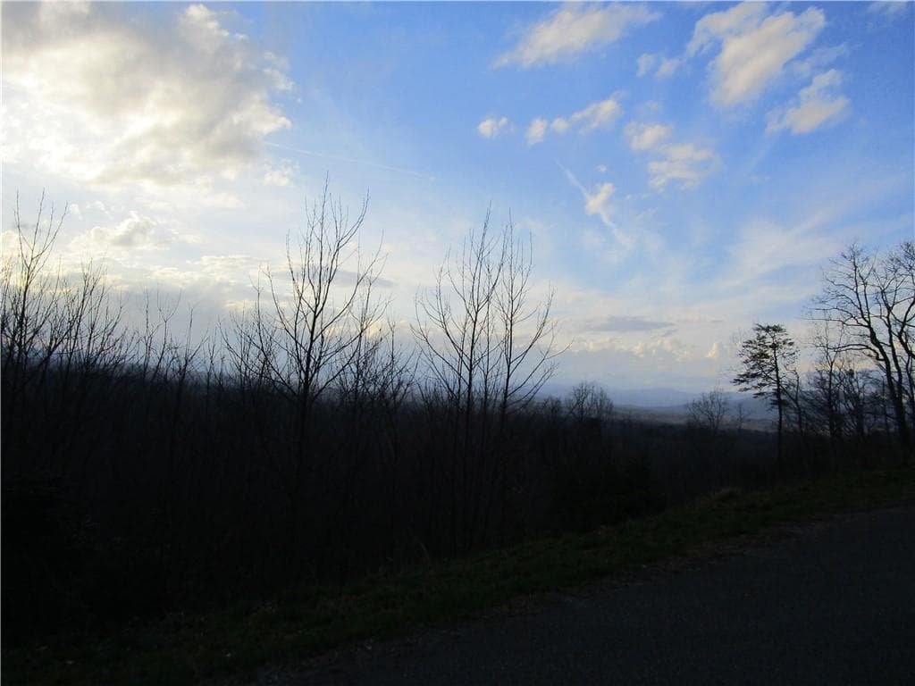 single family residence for sale at Lot 24 Long Mountain Trail, Cleveland, GA 30528 — photo 7