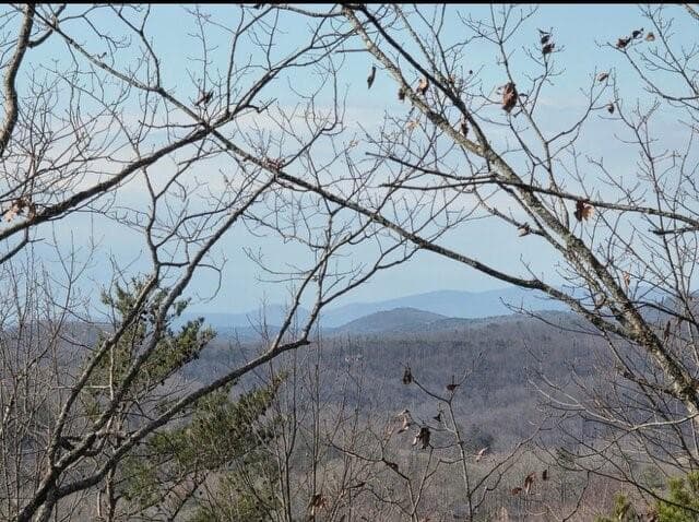 3 bedroom, 3 bathroom, 2,240 sq ft single family residence under contract at 100 Hidden Hollow Lane, Dahlonega, GA 30533 — photo 2