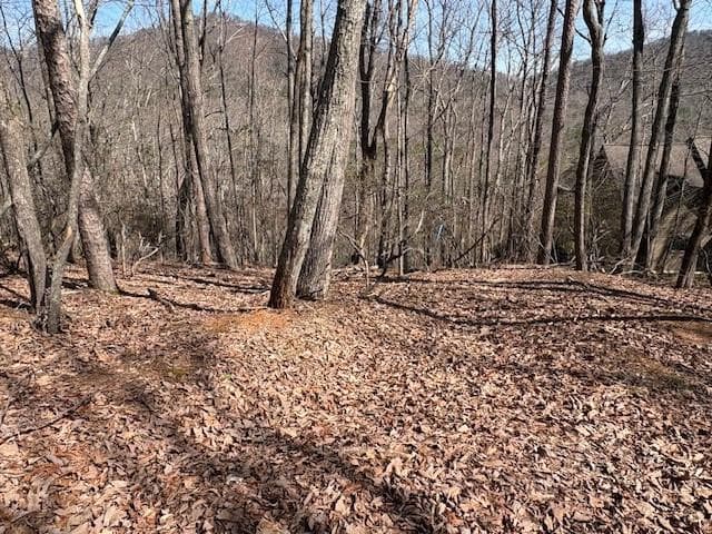single family residence for sale at 1150 Swallow Point, Big Canoe, GA 30143 — photo 6