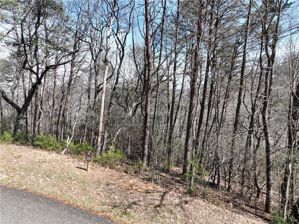 single family residence for sale at 200 Stone Cliff Drive, Ellijay, GA 30536 — photo 2