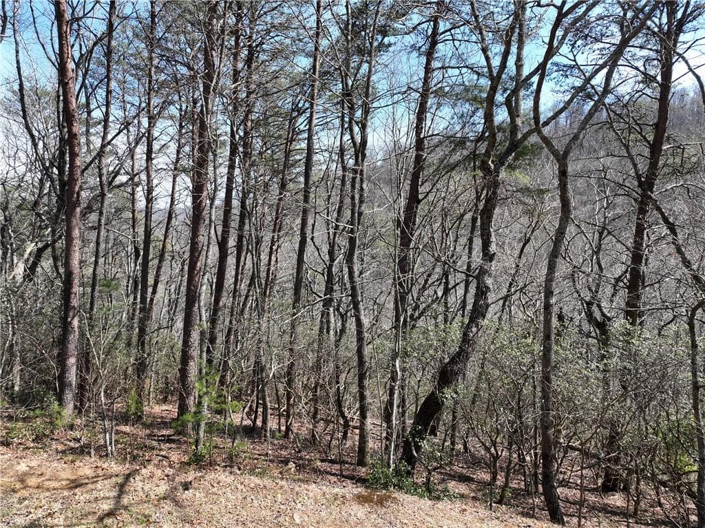 single family residence for sale at 200 Stone Cliff Drive, Ellijay, GA 30536 — photo 5