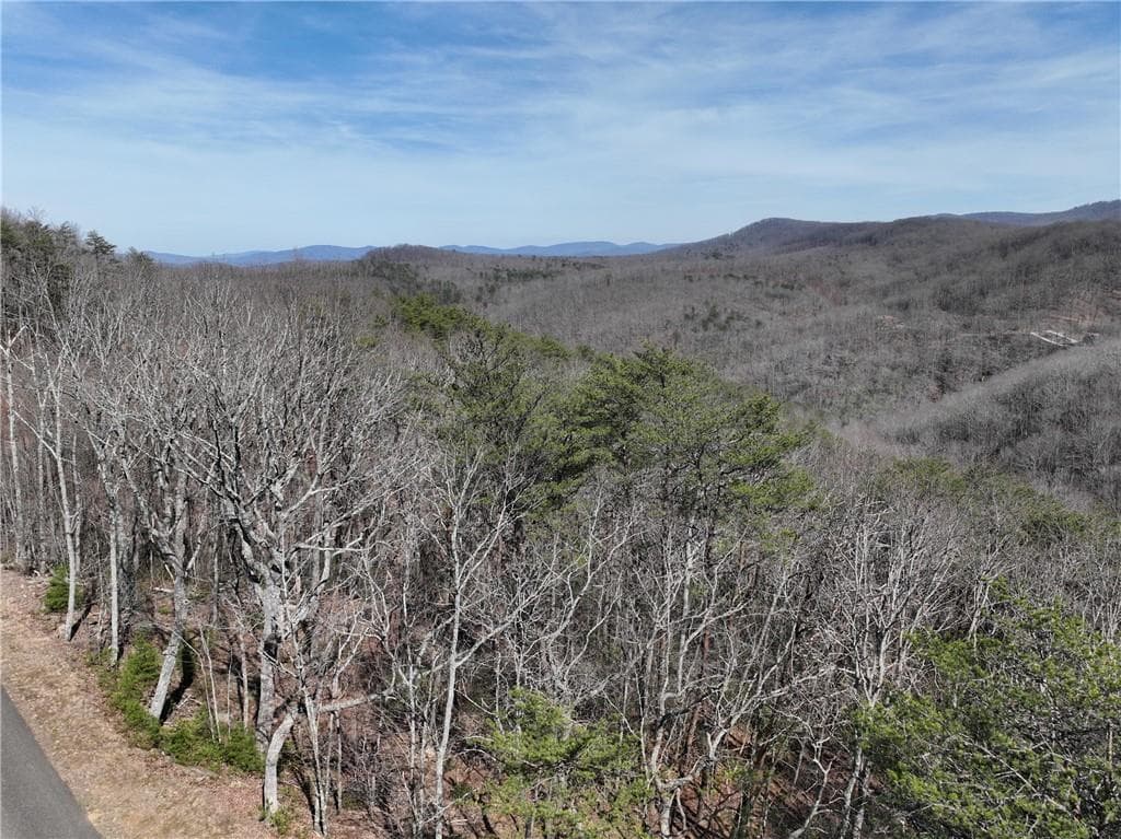 single family residence for sale at 200 Stone Cliff Drive, Ellijay, GA 30536 — photo 6