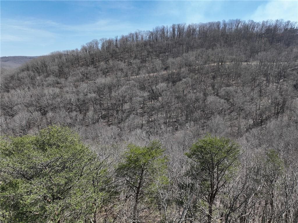 single family residence for sale at 200 Stone Cliff Drive, Ellijay, GA 30536 — photo 10