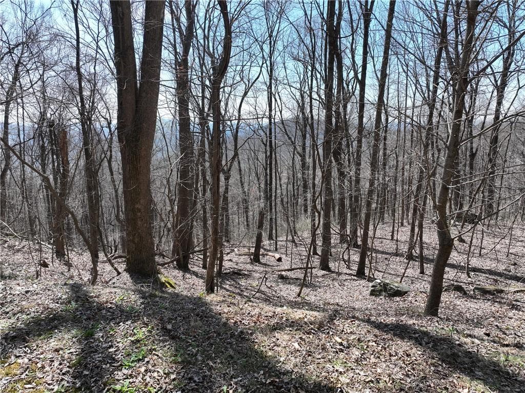 single family residence for sale at 243 Dragon Trail, Ellijay, GA 30536 — photo 2