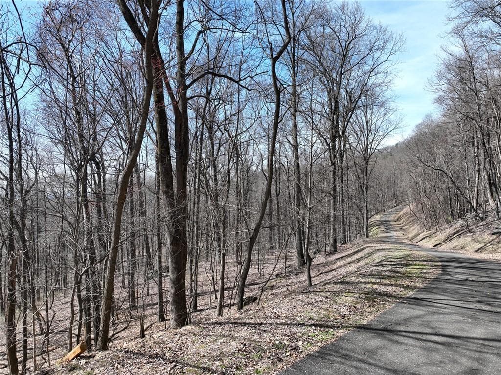 single family residence for sale at 243 Dragon Trail, Ellijay, GA 30536 — photo 3