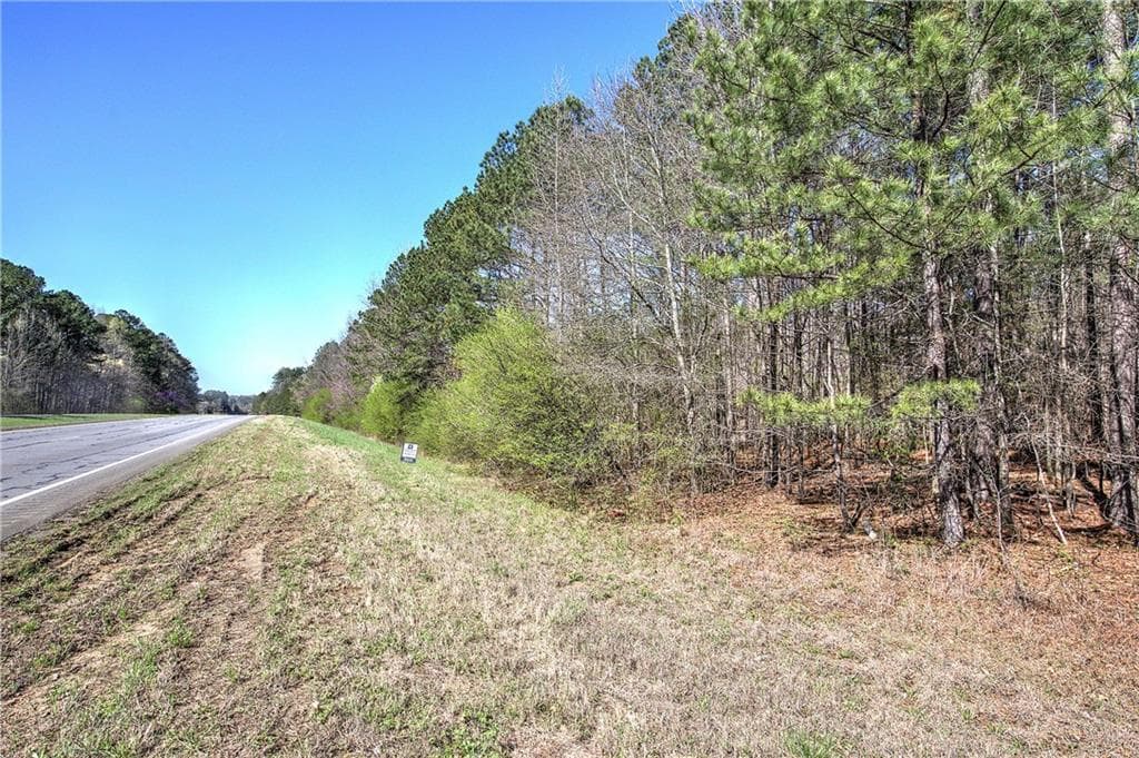 unimproved land for sale at 000 Alabama Highway, Rome, GA 30165 — photo 3