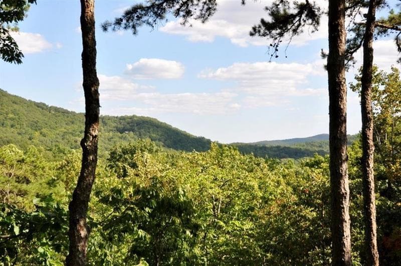 single family residence for sale at 64 Wrens Nest, Big Canoe, GA 30143 — photo 2