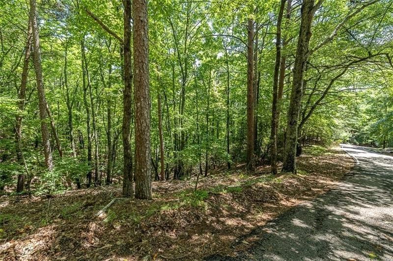 single family residence for sale at 64 Wrens Nest, Big Canoe, GA 30143 — photo 3
