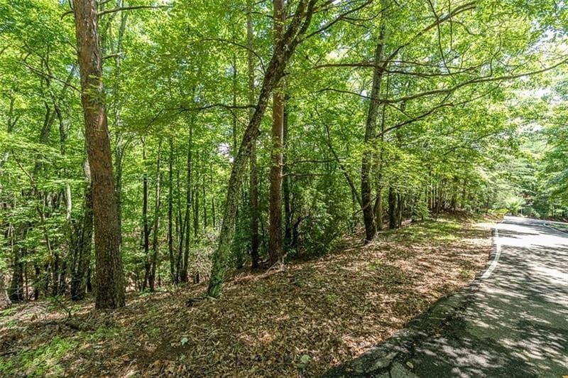 single family residence for sale at 64 Wrens Nest, Big Canoe, GA 30143 — photo 4