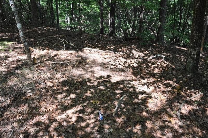 single family residence for sale at 64 Wrens Nest, Big Canoe, GA 30143 — photo 6