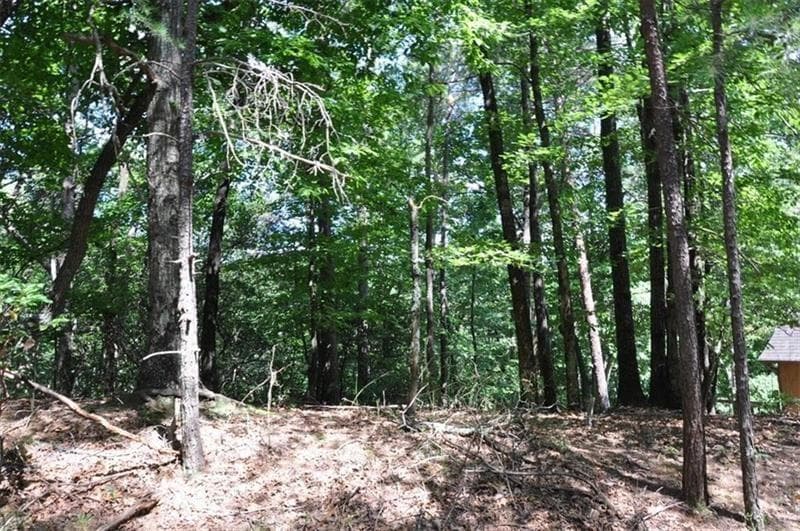 single family residence for sale at 64 Wrens Nest, Big Canoe, GA 30143 — photo 7