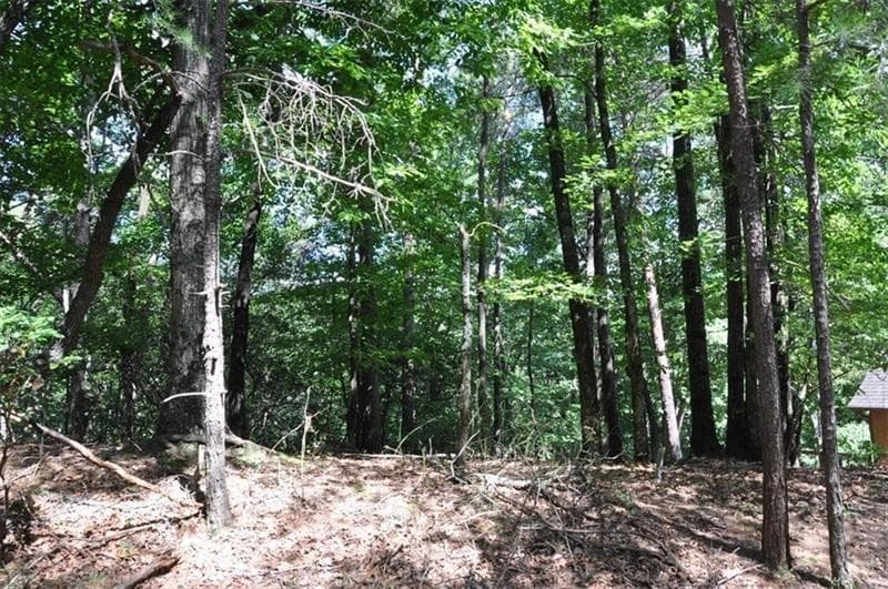 single family residence for sale at 64 Wrens Nest, Big Canoe, GA 30143 — photo 8
