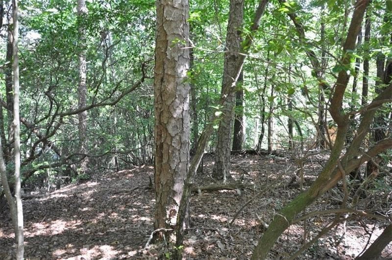single family residence for sale at 64 Wrens Nest, Big Canoe, GA 30143 — photo 9
