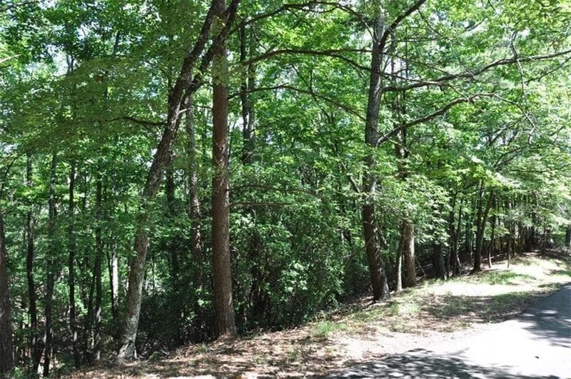 single family residence for sale at 64 Wrens Nest, Big Canoe, GA 30143 — photo 10