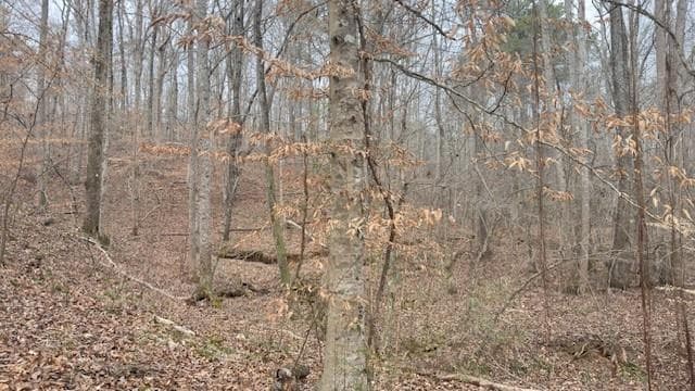 single family residence for sale at 00Lot4 N Helton Road, Winston, GA 30187 — photo 2