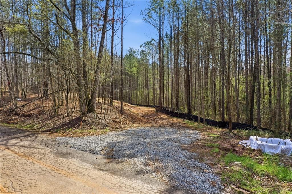 unimproved land for sale at 250 Sardis Circle, Canton, GA 30114 — photo 2