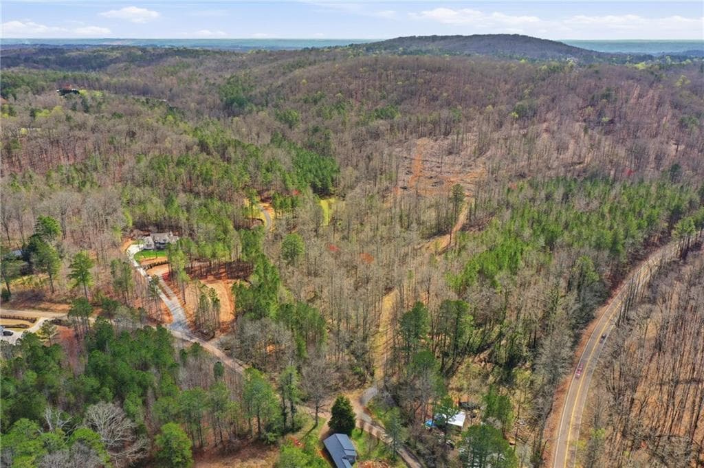 unimproved land for sale at 250 Sardis Circle, Canton, GA 30114 — photo 7