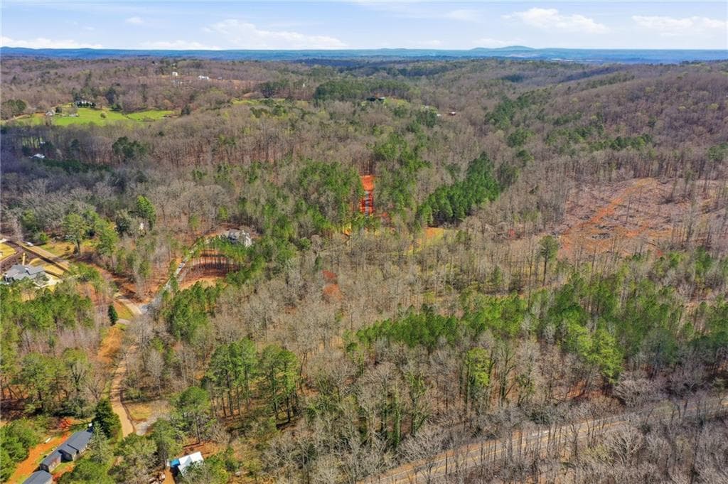 unimproved land for sale at 250 Sardis Circle, Canton, GA 30114 — photo 10