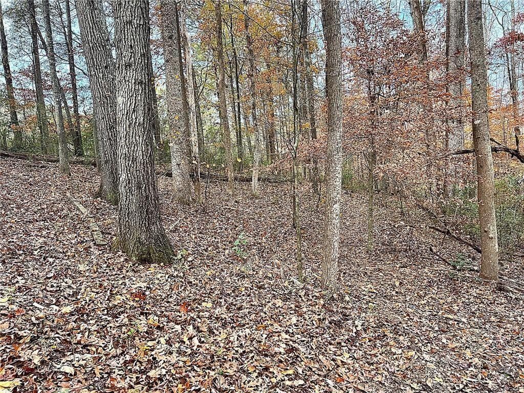 single family residence for sale at 667 B Avery Road, Canton, GA 30115 — photo 5