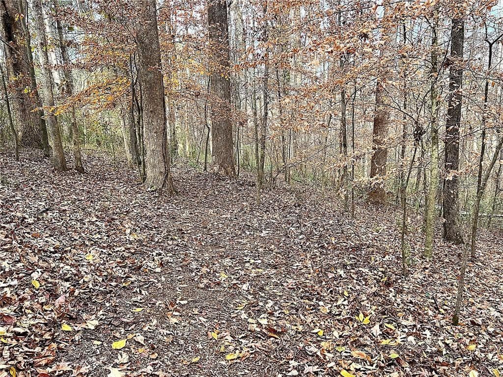 single family residence for sale at 667 B Avery Road, Canton, GA 30115 — photo 9