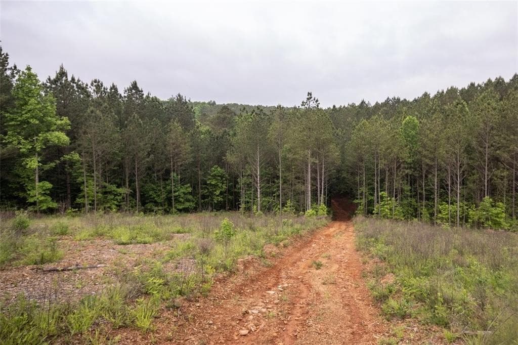 unimproved land for sale at 0 Hidden Creek Road, Jasper, GA 30143 — photo 2
