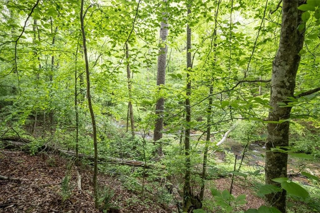unimproved land for sale at 0 Hidden Creek Road, Jasper, GA 30143 — photo 4