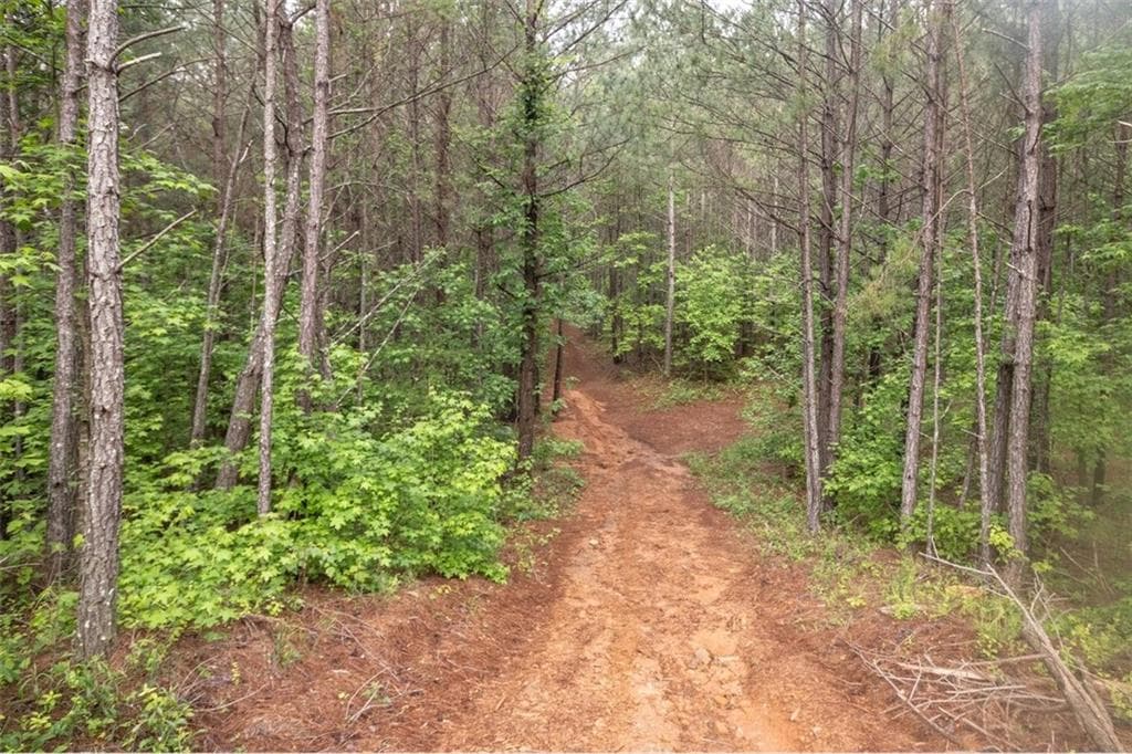 unimproved land for sale at 0 Hidden Creek Road, Jasper, GA 30143 — photo 6