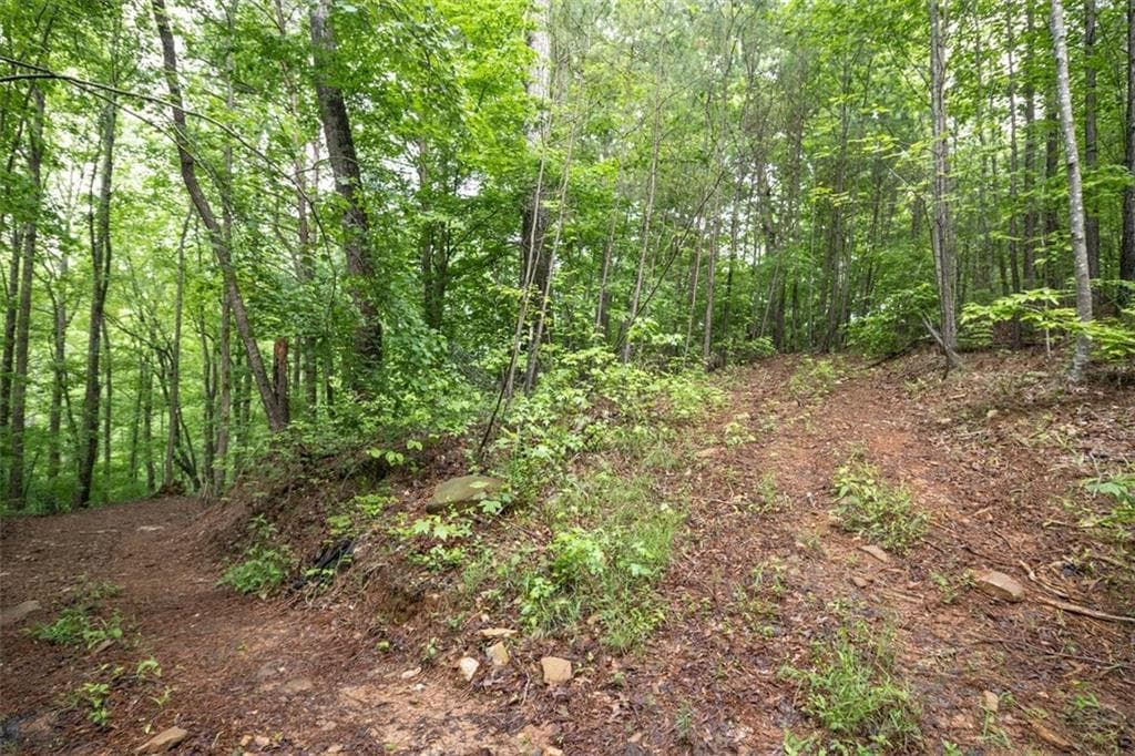 unimproved land for sale at 0 Hidden Creek Road, Jasper, GA 30143 — photo 7