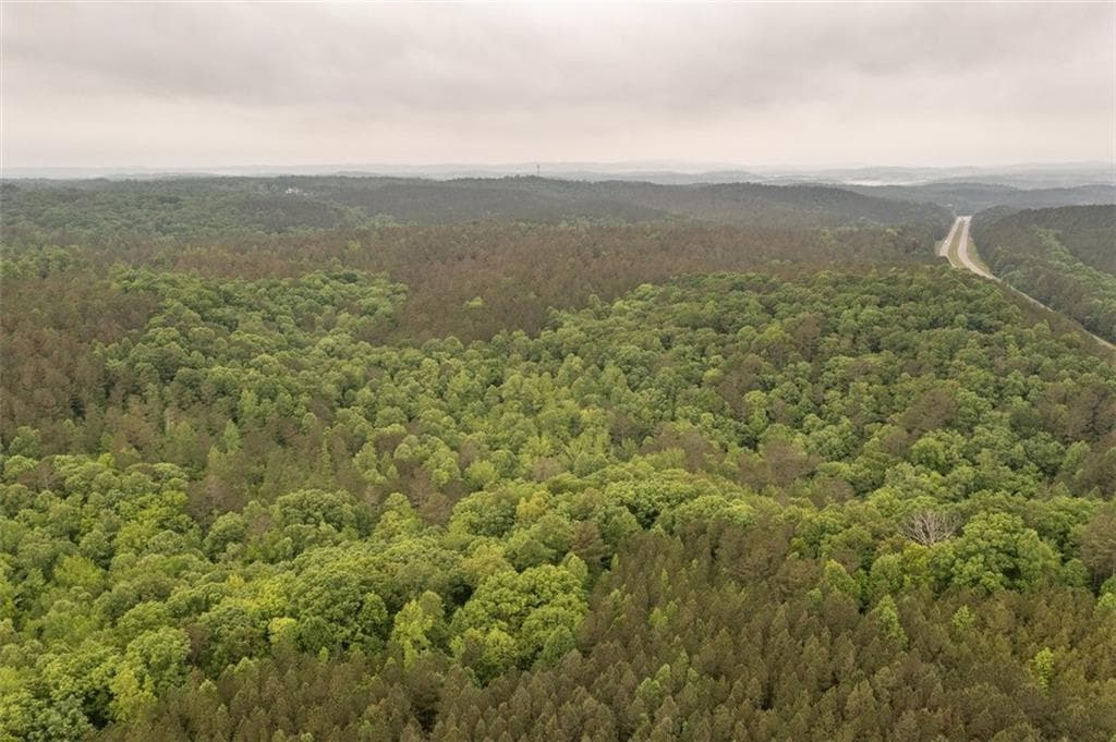 unimproved land for sale at 0 Hidden Creek Road, Jasper, GA 30143 — photo 9