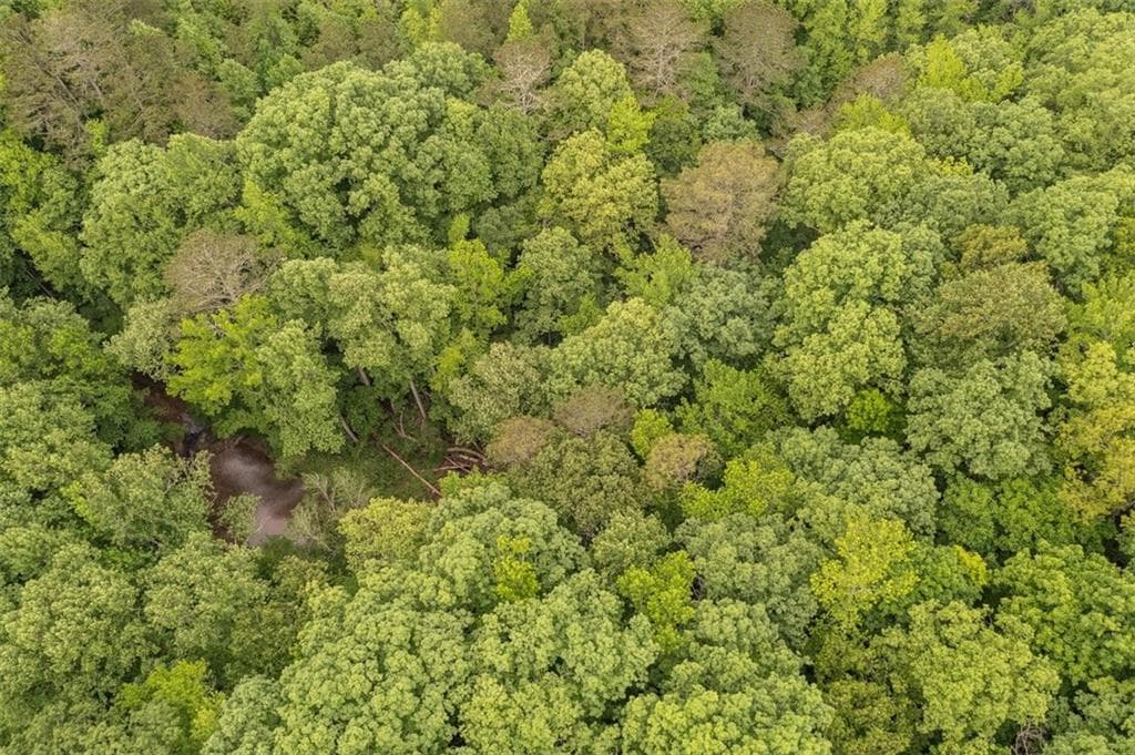 unimproved land for sale at 0 Hidden Creek Road, Jasper, GA 30143 — photo 10