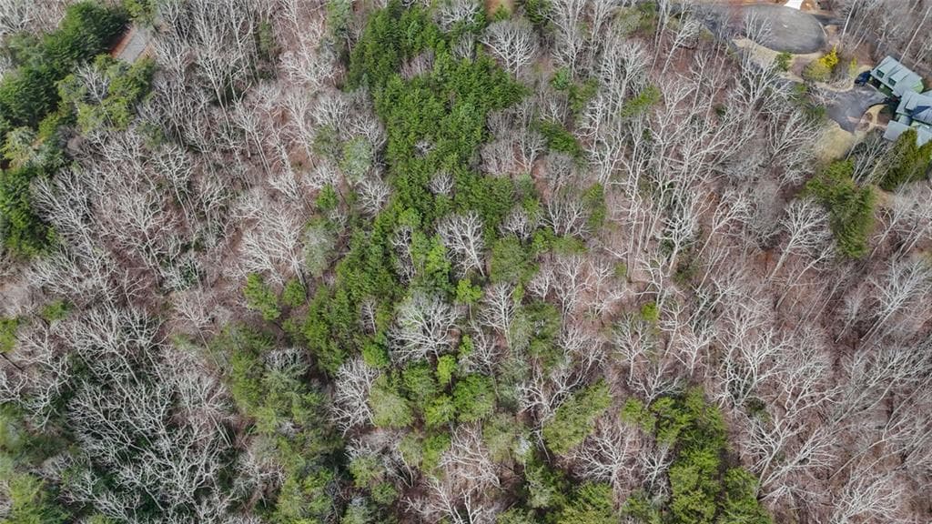 single family residence for sale at 0 Fern Creek Court, Jasper, GA 30143 — photo 10