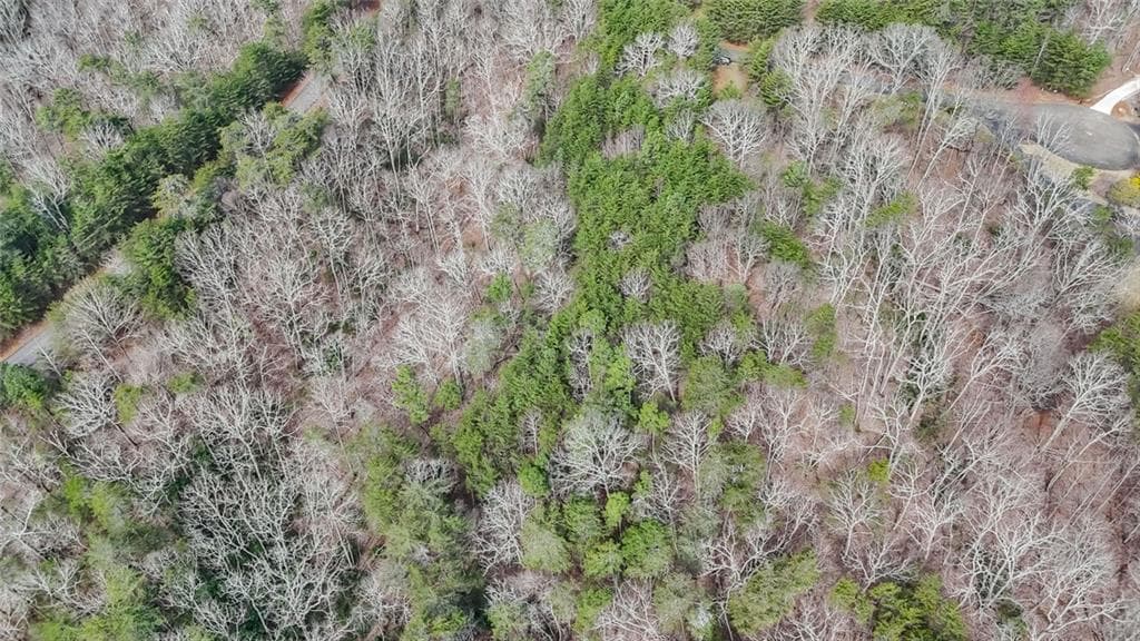 single family residence for sale at 0 Terrace Way, Jasper, GA 30143 — photo 9