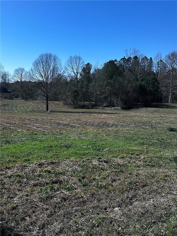 unimproved land for sale at 8395 Vernon Grove Road, Chattahoochee Hills, GA 30268 — photo 2