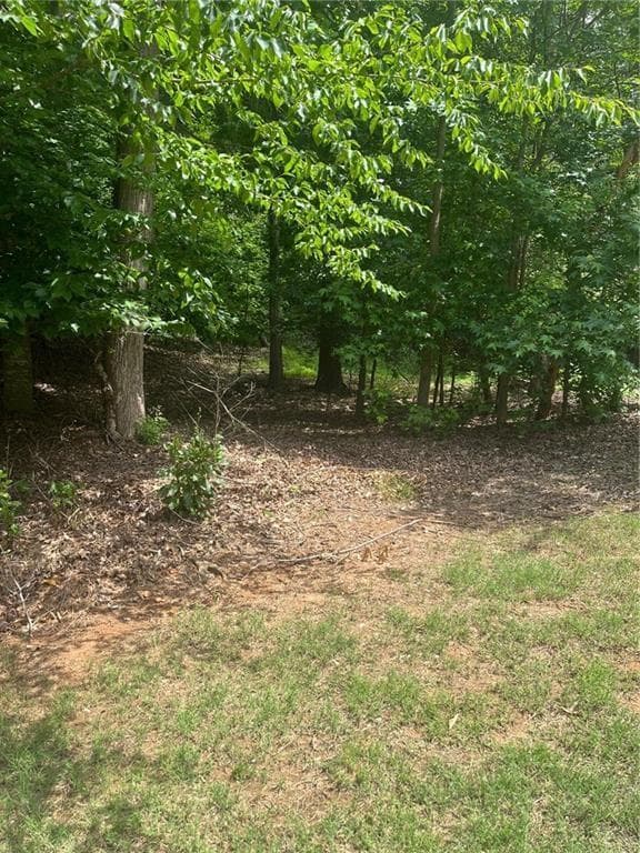 single family residence for sale at 1894 Point River Drive, Duluth, GA 30097 — photo 4