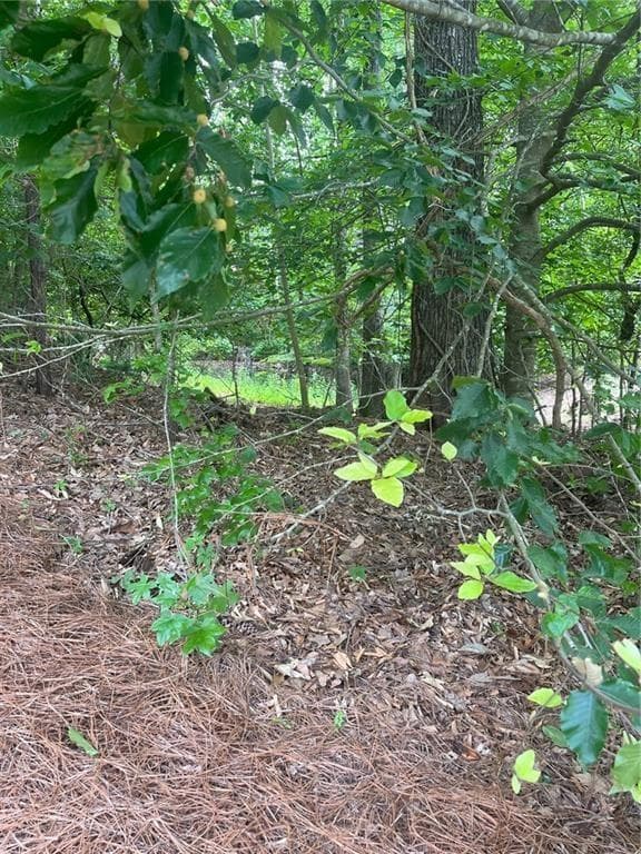 single family residence for sale at 1894 Point River Drive, Duluth, GA 30097 — photo 5