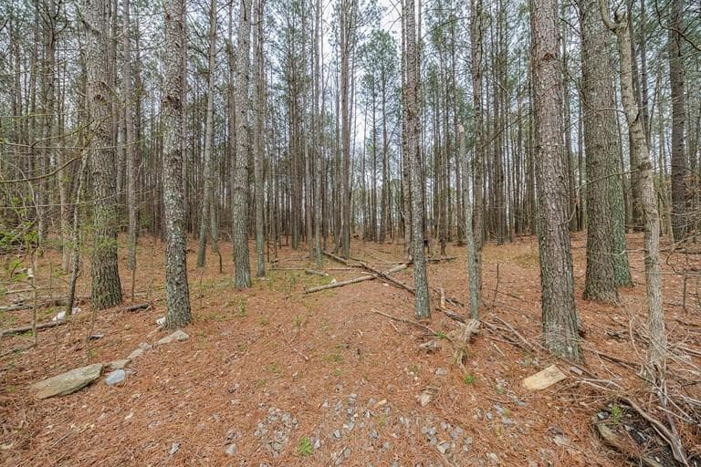 unimproved land for sale at 13585 Arnold Mill Road, Milton, GA 30075 — photo 4