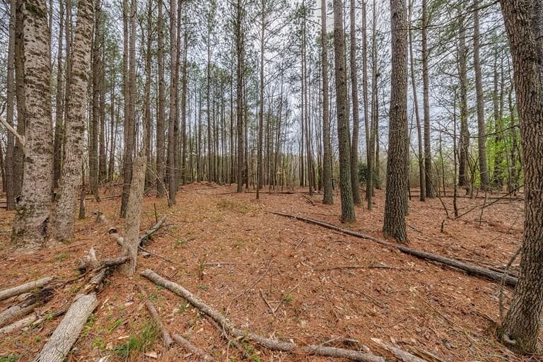 unimproved land for sale at 13585 Arnold Mill Road, Milton, GA 30075 — photo 5