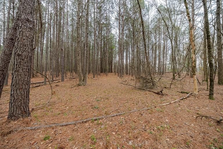 unimproved land for sale at 13585 Arnold Mill Road, Milton, GA 30075 — photo 6