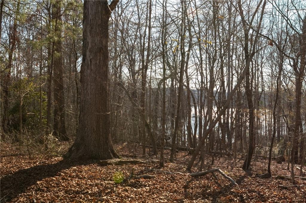 unimproved land for sale at 6212 Autumn Hill Court, Gainesville, GA 30506 — photo 5